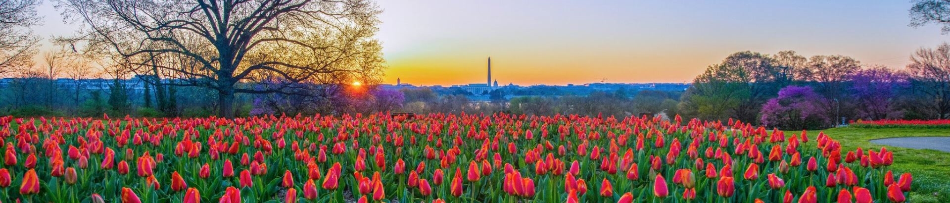 Standing near the Iwo Jima Memorial and Arlington National Cemeter, the Netherlands Carillon has one of the best views in the area, overlooking the Potomac River towards Washington, D.C..