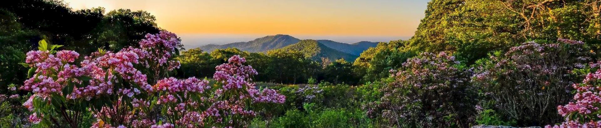 Shenandoah -- Virginia’s first national park