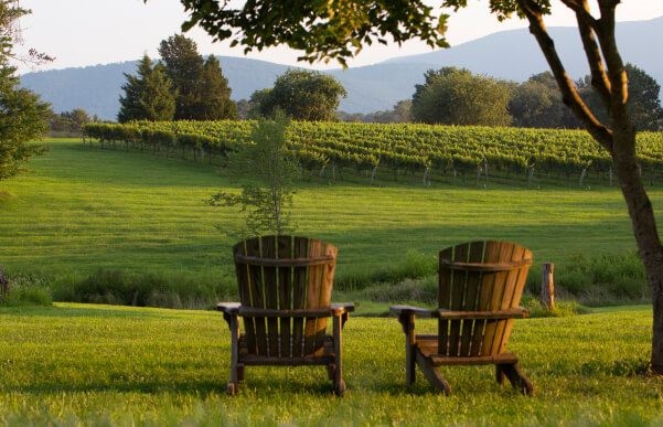 Green pasture with two chairs