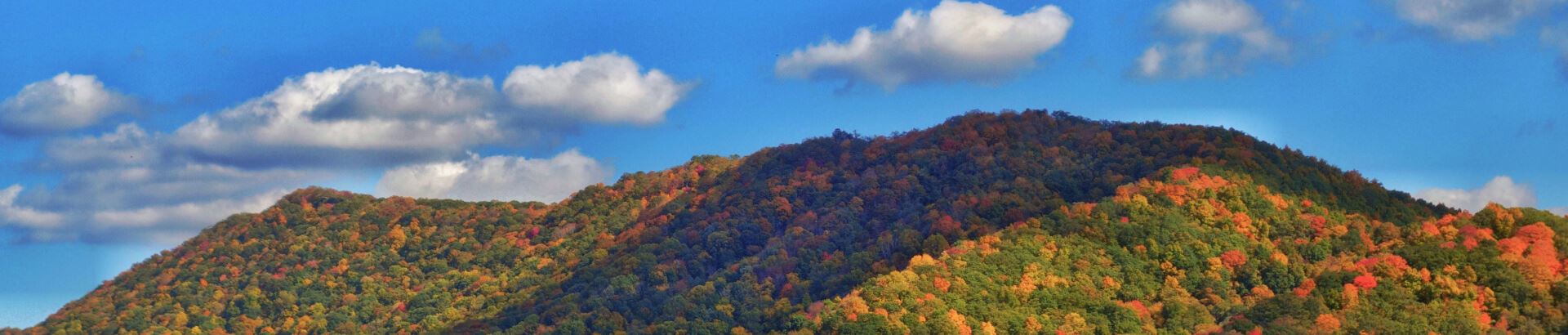 Scenic Tazewell County in the fall