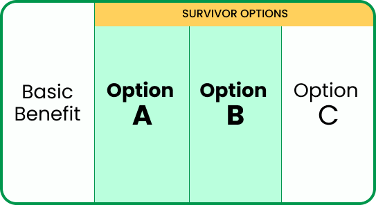 Survivor Option: Option A or Option B